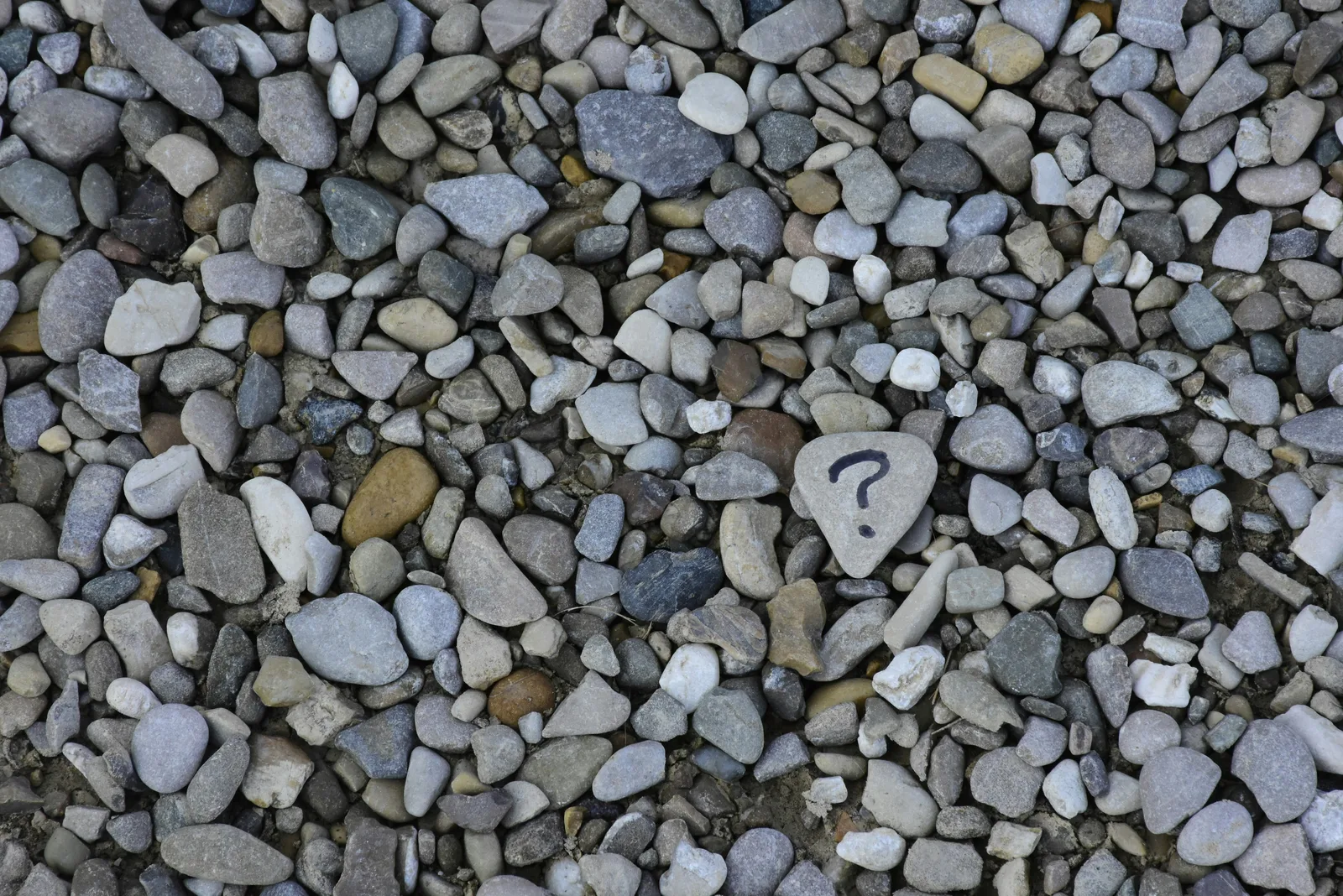 A question-marked stone among scattered pebbles, reflecting the essential questions brands should ask an AI SEO consultant during an AI Visibility Audit to stay visible in AI search.